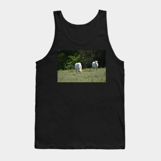 Wild Horse Tank Top